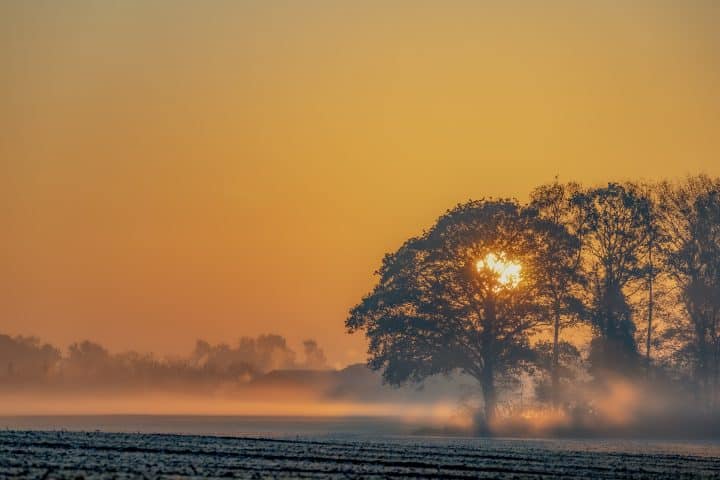 Achterhoek-natuur